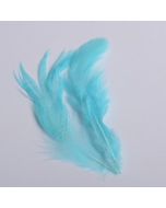 Plumes x 20 - turquoise