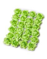 24 roses vert anis