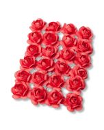 24 roses corail