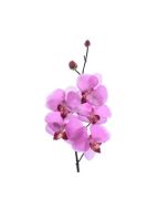 Orchidee en soie violette