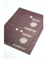 Lot 25 vignettes Passeport thème Aventurier