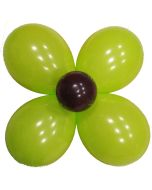 Ballon fleur - Chocolat Tilleul