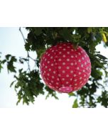 lampion fuschia pois