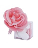Nominettes Fleur  Rose x25