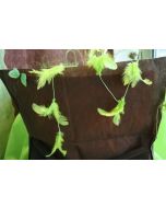 Guirlande de plumes - vert anis