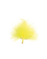 plumes jaunes