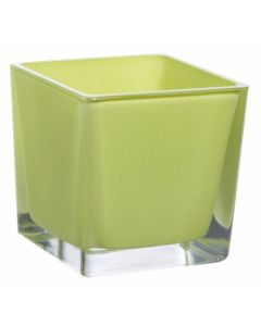 Vase cube anis – 8 cm