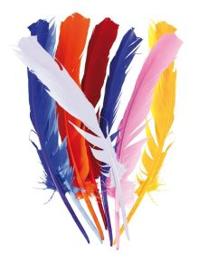 12 Plumes 30 cm - Plusieurs couleurs