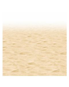 Décor plage de sable fin