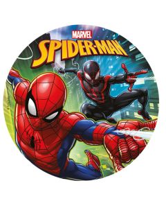 disque à gâteau Spiderman et Spiderman noir