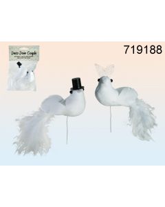 Couple de colombes blanches de mariage avec plumes