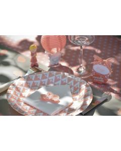 Lot de 10 assiettes cérémonie enfants corail