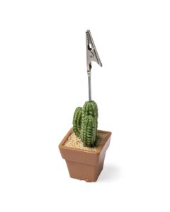 Porte-nom cactus