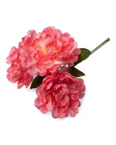 bouquet fleurs pivoines fuchsia