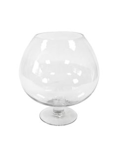 Coupe Cognac en verre