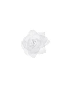 24 roses blanches - 9 cm