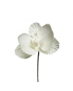 Orchidée deco blanche