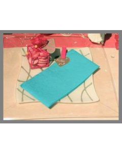 Serviettes - turquoise - x50